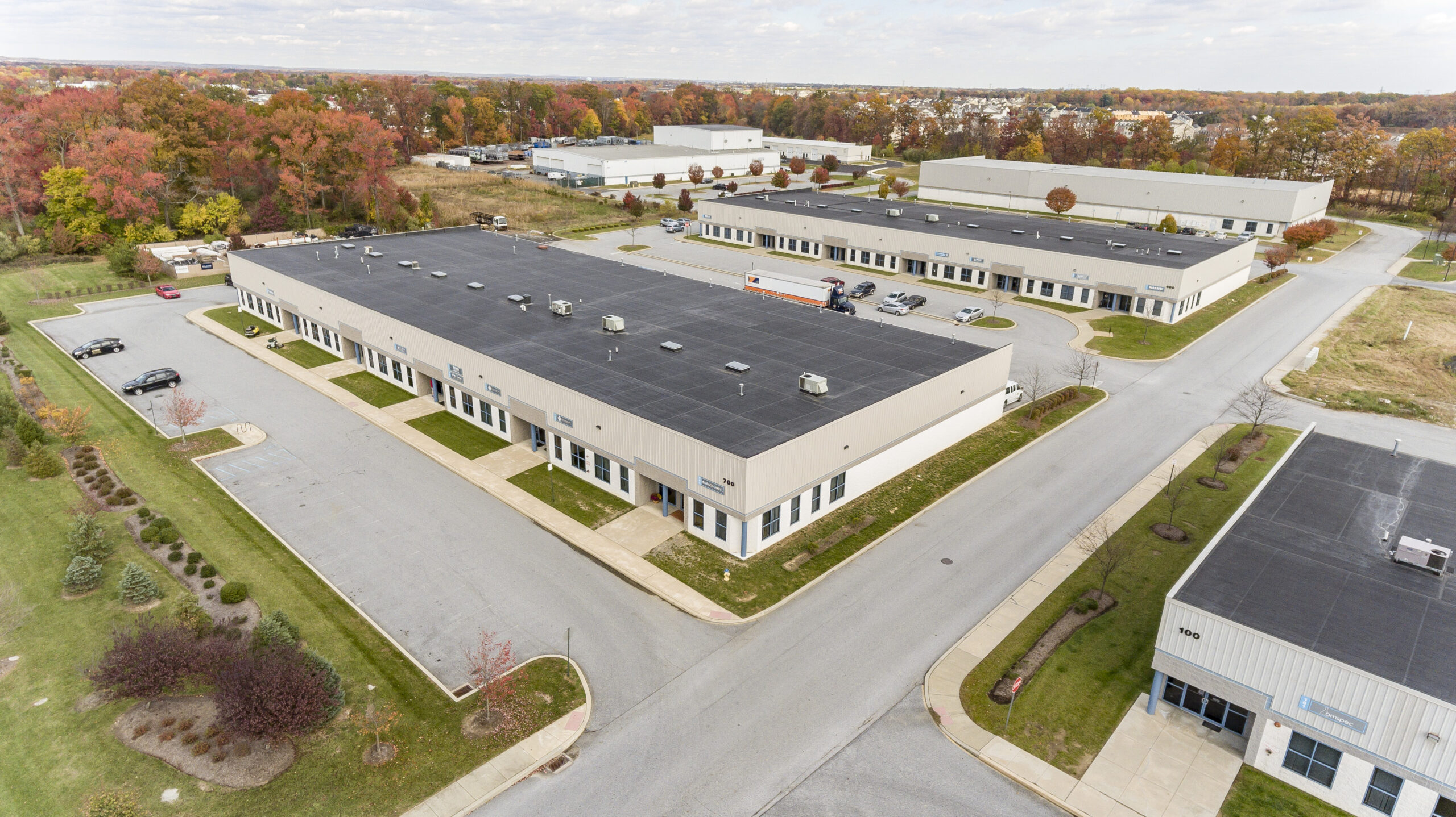 Decorative Background