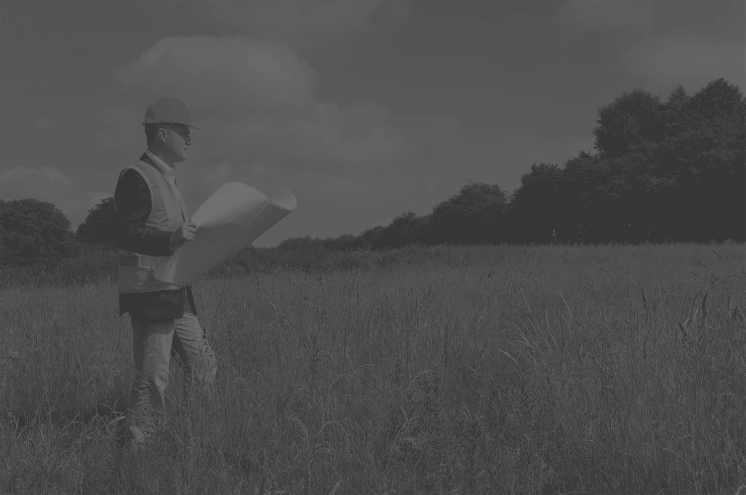 Decorative Background