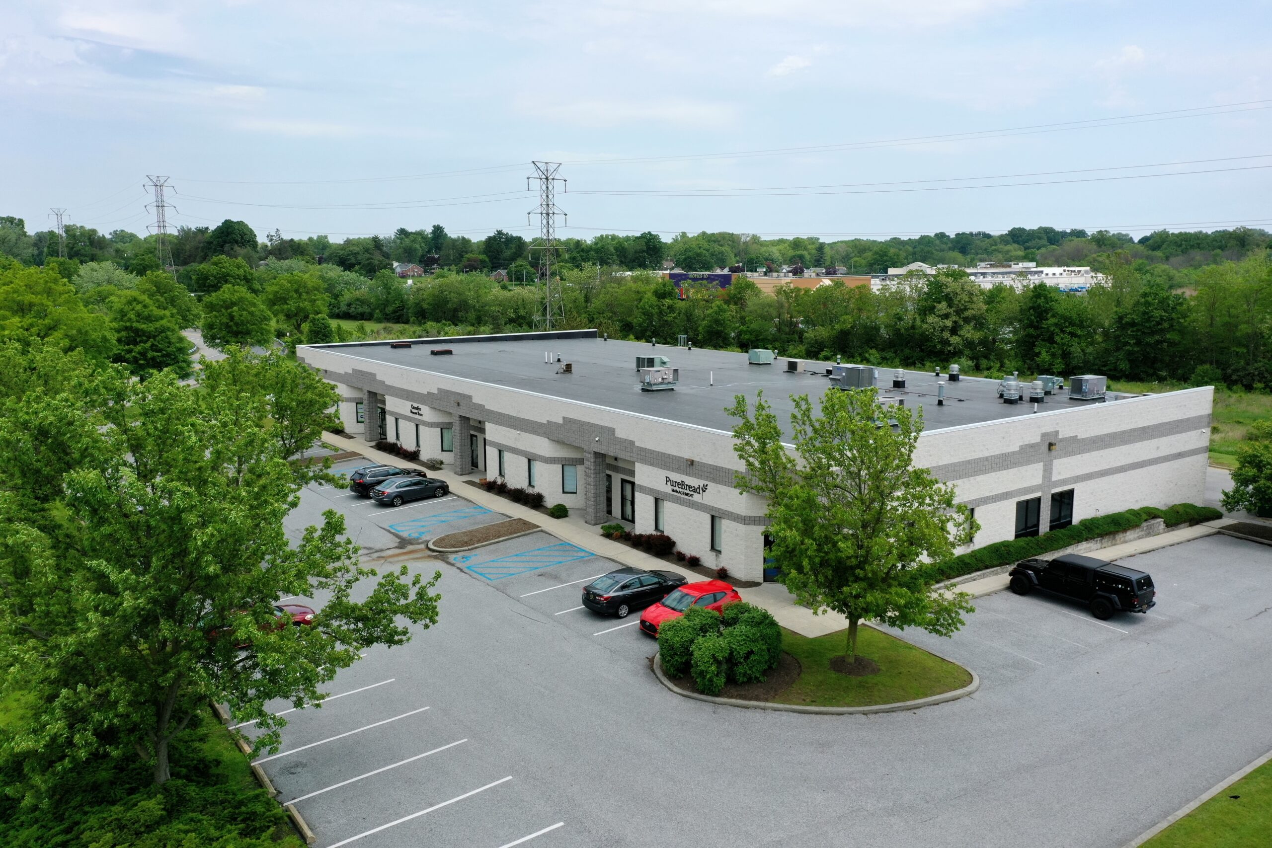 Decorative Background