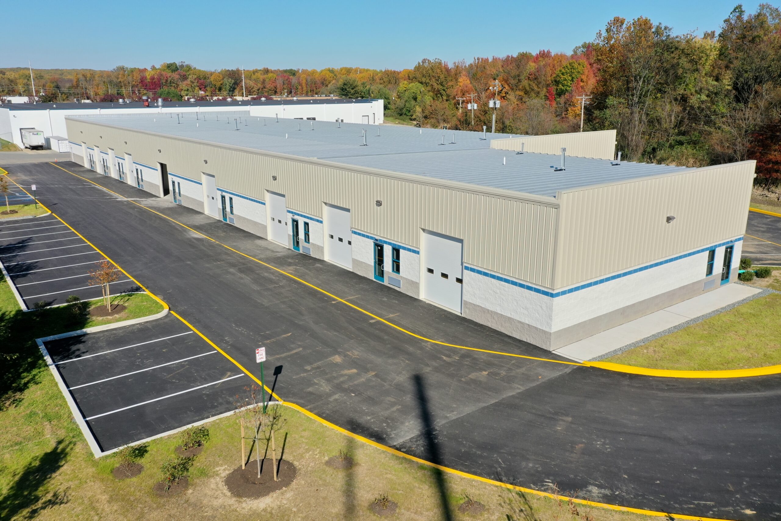 Decorative Background