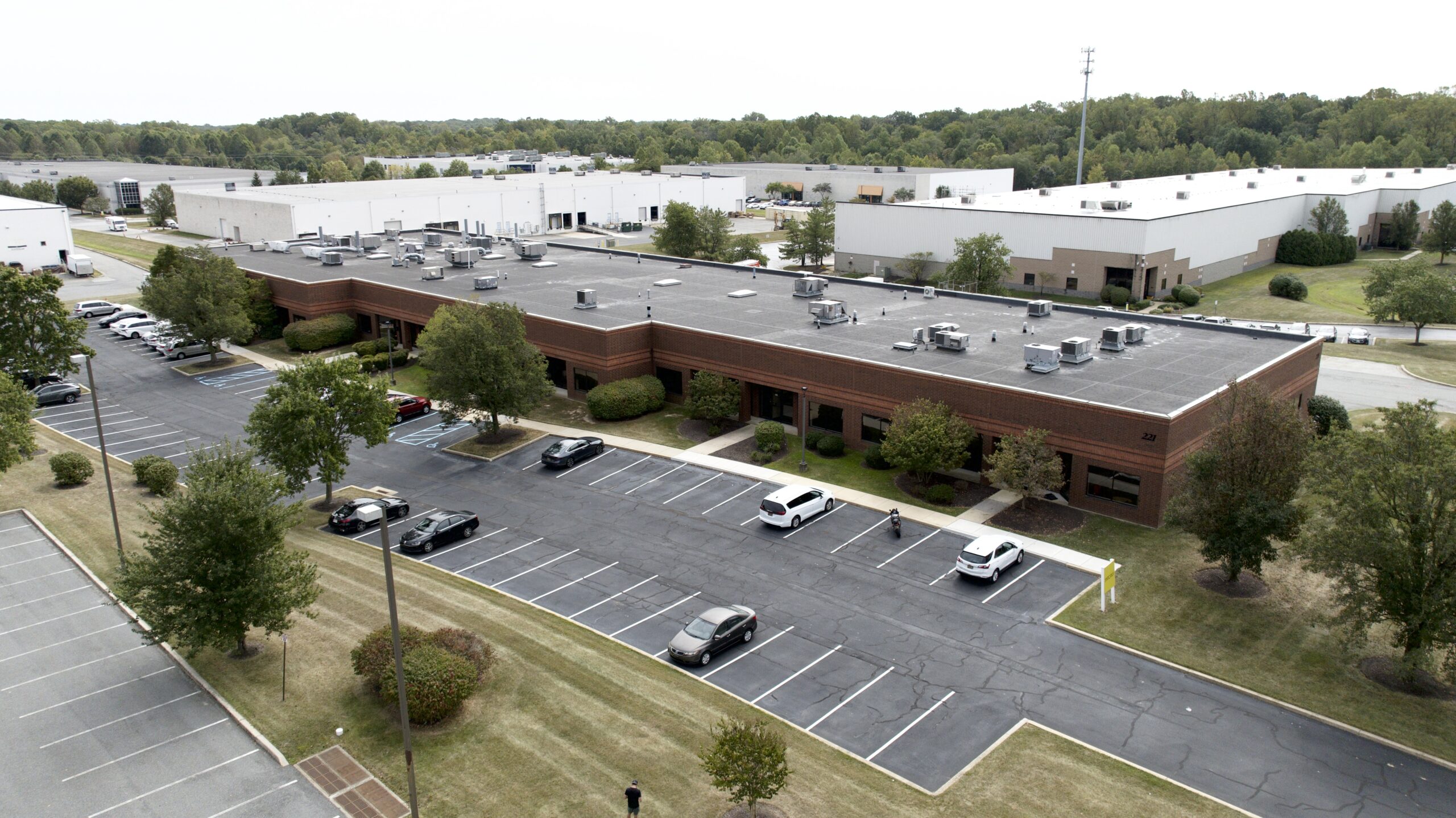 Decorative Background