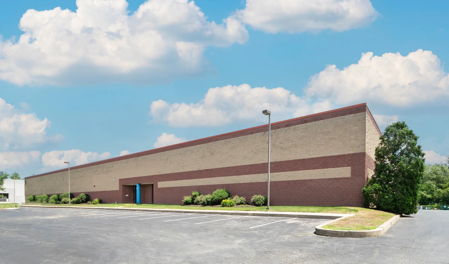 Decorative Background